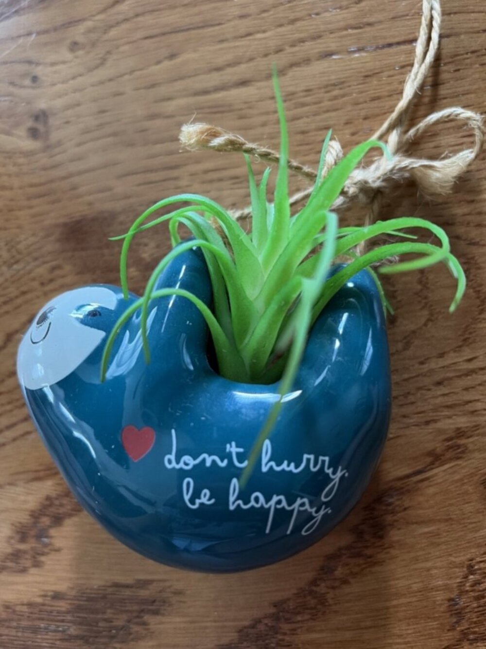 Natural Life Mini Hanging Faux Succulent Car Charm Rear View Mirror Sloth Blue - Picture 3 of 4